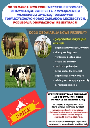 Ulotka informacyjna
